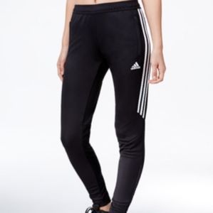 Adidas Pants